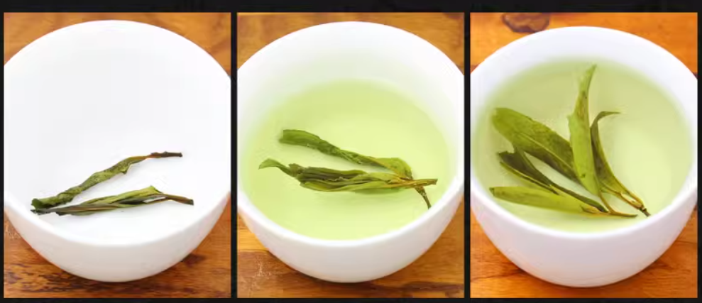 Hainan large leaf kuding tea special kuding original tender leaves herbal tea canned 100g Coconut fairy new tea - Hainan Specialty