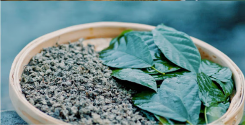 Hainan Partridge Tea Partridge Oolong Tea Hainan Specialty Tea Souvenir Mini Yellow Can - Hainan Specialty
