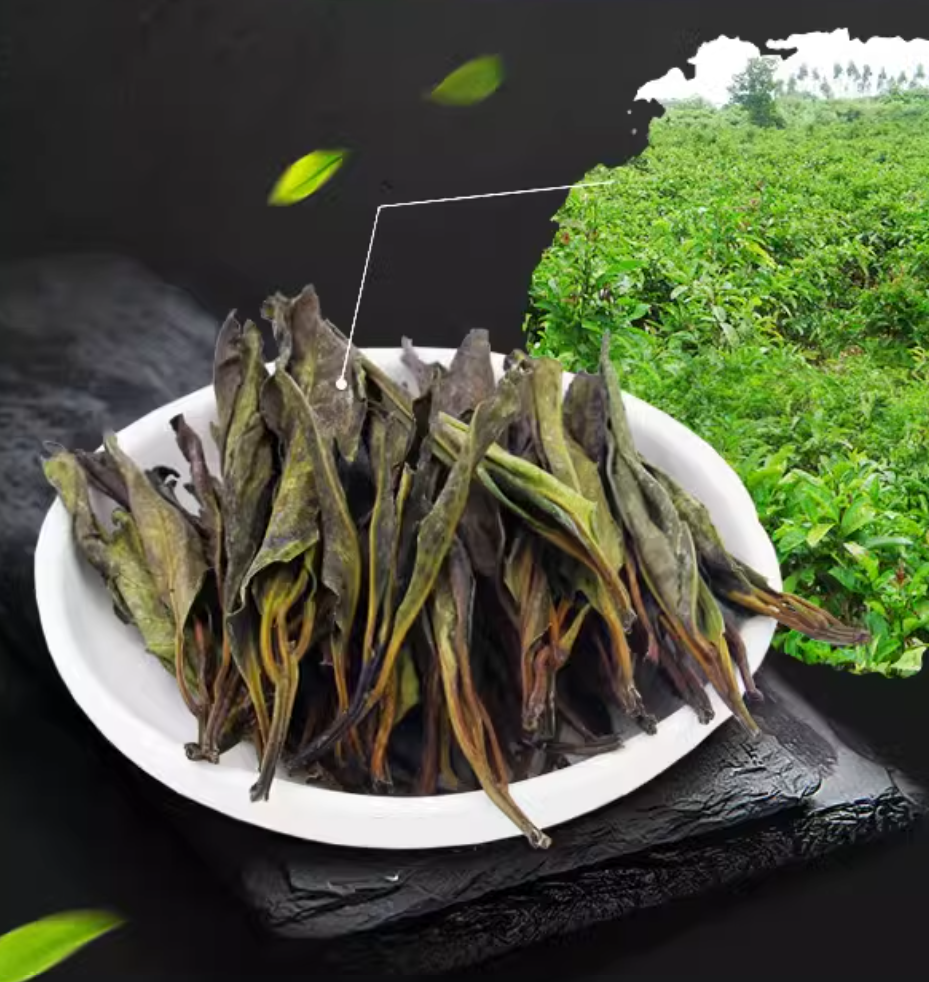 Hainan large leaf kuding tea special kuding original tender leaves herbal tea canned 100g Coconut fairy new tea - Hainan Specialty