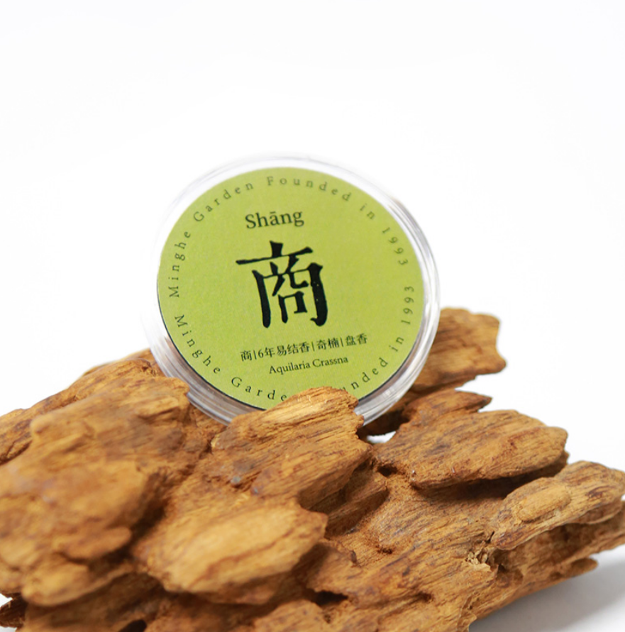 Chen Xiaoxiang Five Tone Series Incense Coil Gift Box - Hainan Specialty