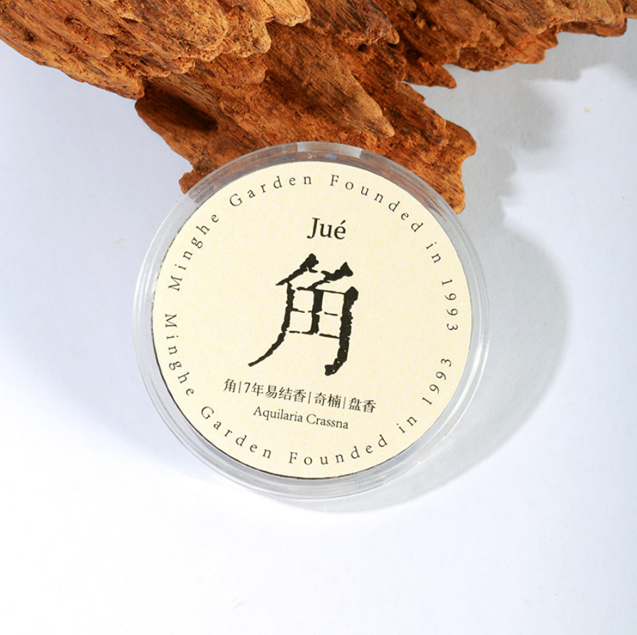 Chen Xiaoxiang Five Tone Series Incense Coil Gift Box - Hainan Specialty