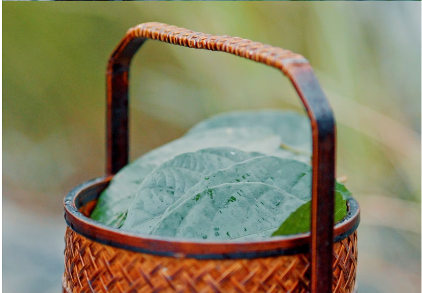 Hainan Partridge Tea Partridge Oolong Tea Hainan Specialty Tea Souvenir Mini Yellow Can - Hainan Specialty