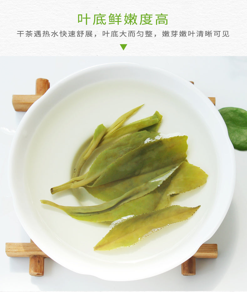Coconut Fairy Chengmai Kuding Tea - Hainan Specialty