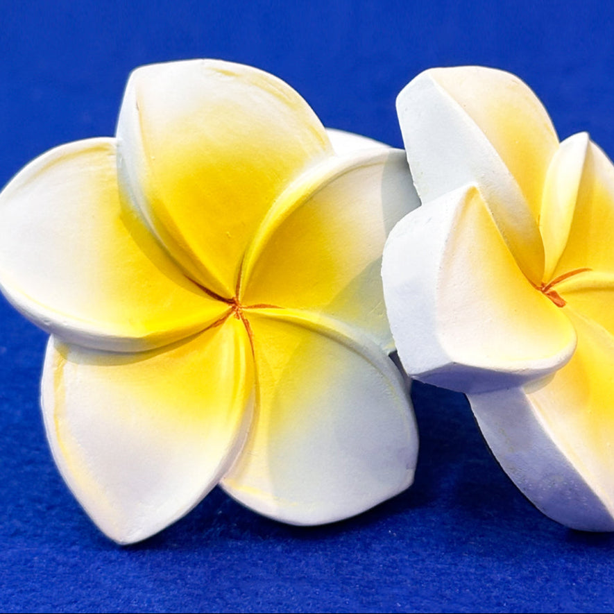 Hainan Frangipani 3D Enamel Souvenir Magnet - Hainan Specialty
