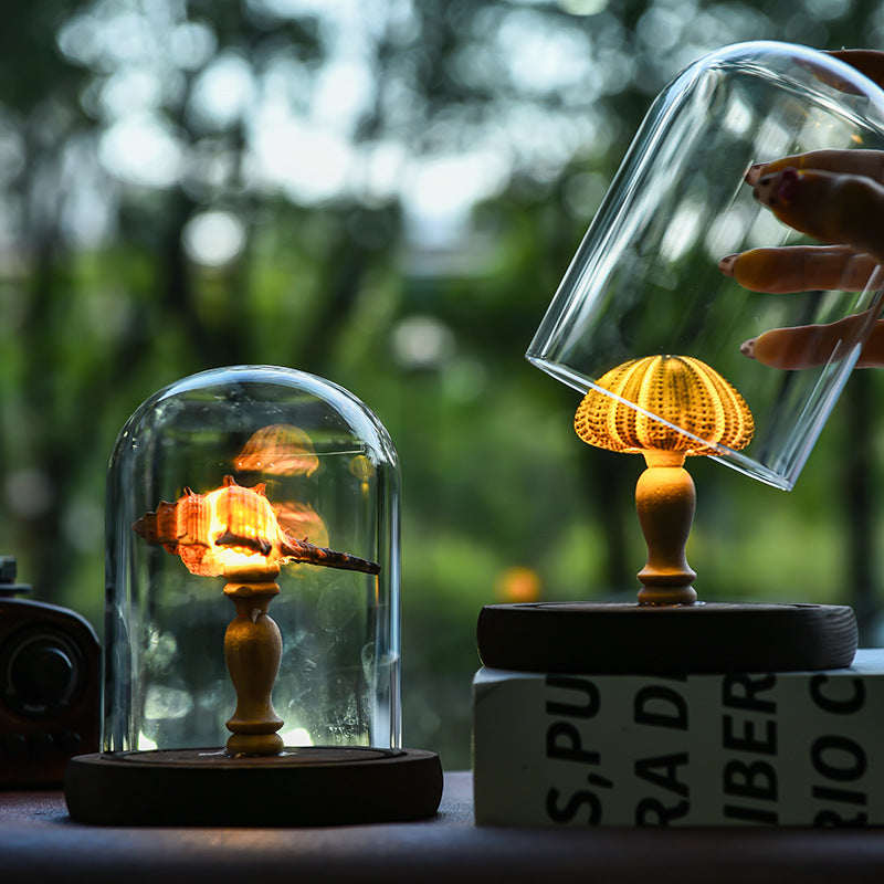 Ocean-Themed Sea Urchin Shell Night Light - Hainan Specialty