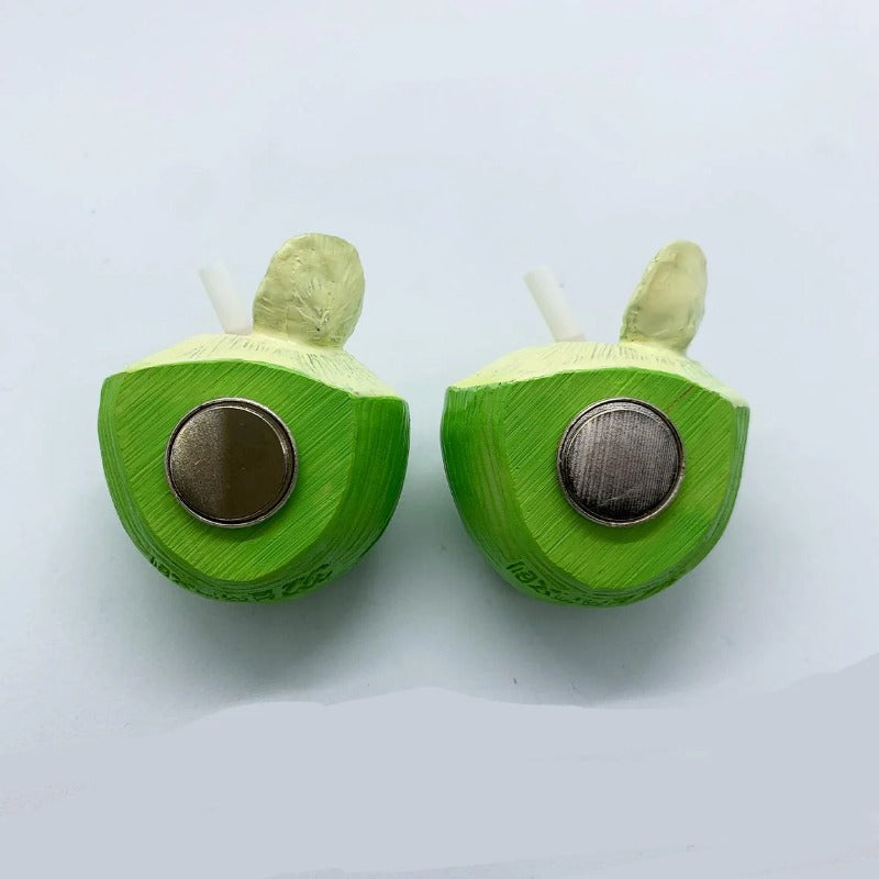 3D Coconut Magnetic Fridge Magnet – Island Souvenir - Hainan Specialty