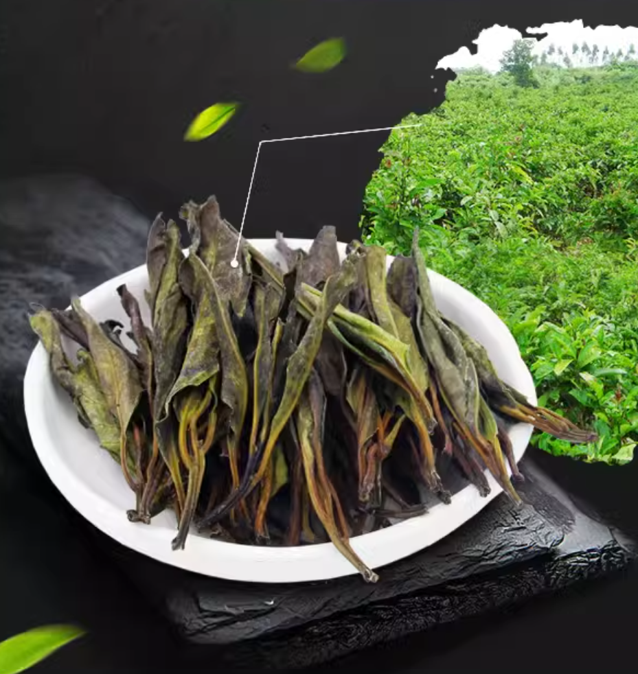 Hainan large leaf kuding tea special kuding original tender leaves herbal tea canned 100g Coconut fairy new tea